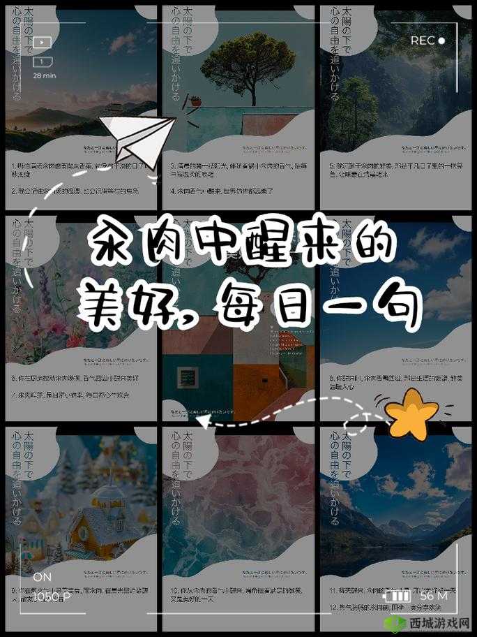 每天在汆肉中醒来攻略：新手必看指南
