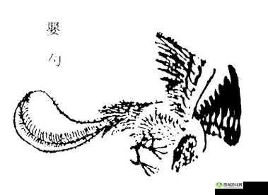山海镜花N卡婴勺技能属性全解析，它究竟厉害吗？未来玩法有何变革？