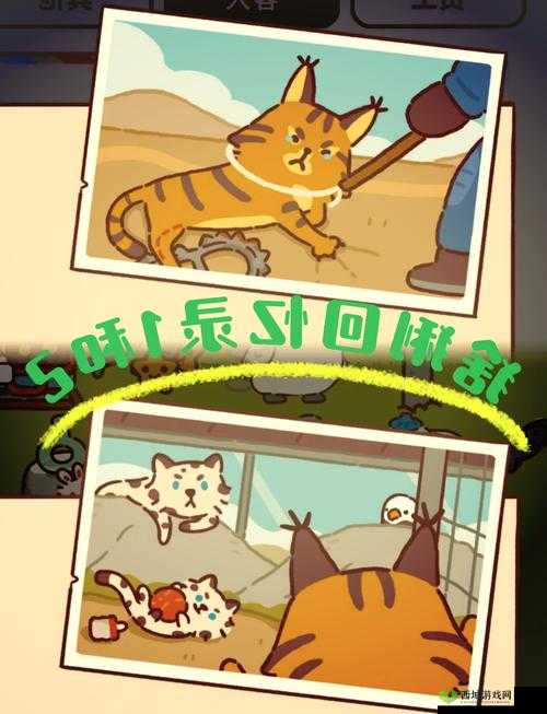 动物餐厅大厨来信藏秘籍？解锁条件究竟有何玄机？